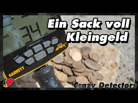 Der Münzsauger / Garrett ACE APEX Ripper 5x8 / Sondeln im verschrotteten Bad