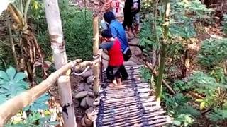 Download lagu VONNY SHEILA - JALAN JALAN DI KEBUN mp3