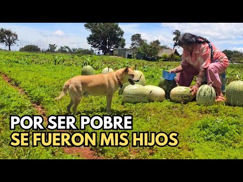 "That's where they dump the dead bodies"