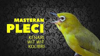 Download lagu MASTERAN PLECI WIT WIT KOLIBRI I UNTUK SEGALA JENIS PLECI mp3