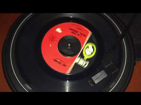 ? & the Mysterians 96 Tears 45