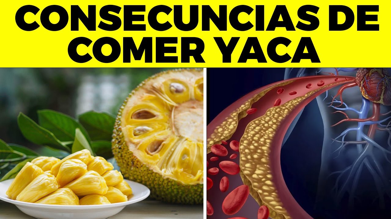 YACA ¿Para Qué Sirve - Beneficios Para Tu Salud Y Belleza