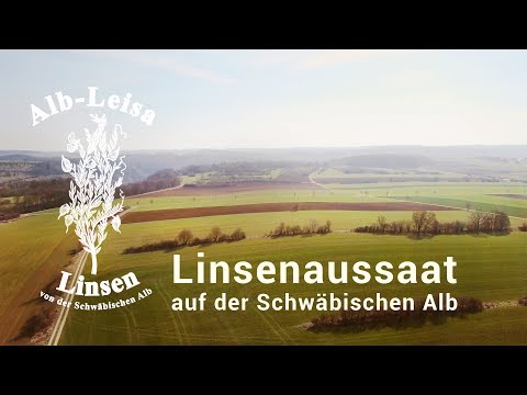 Alb-Leisa - Linsenaussaat auf der Schwäbischen Alb