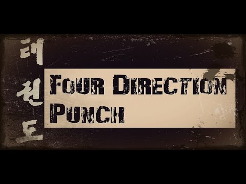 Four Direction Punch Demonstration