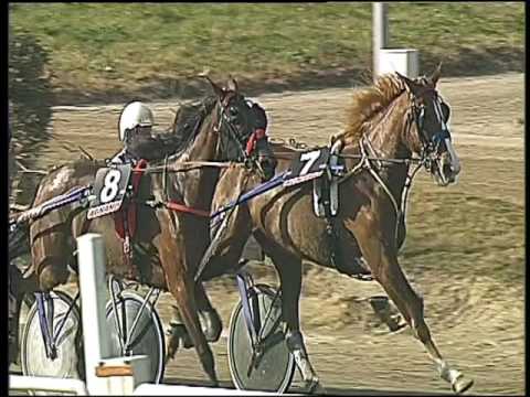 Trotto 17/02/2017 - 2ª corsa