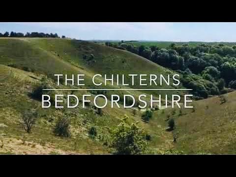 The Chilterns: Barton Hills and Dunstable Downs!