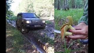 Ссылка