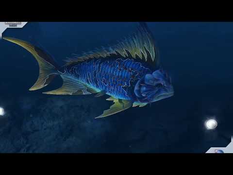 Bananogmius Level 40