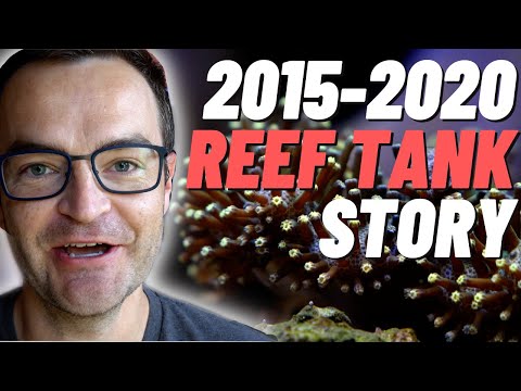 All My Saltwater Aquariums! Ep. 02, Fluval 24 Gallon Mixed Reef Tank