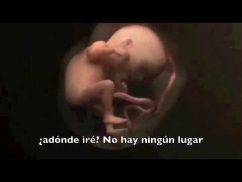 Cántico 110   Las Maravillosas Obras de Dios  con letras1