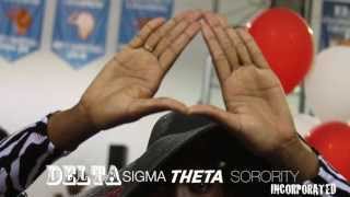 preview picture of video 'DELTA SIGMA THETA'