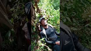 Download lagu TEPAR DI GUNUNG KEMBAR #short  #shorts #ytshorts mp3