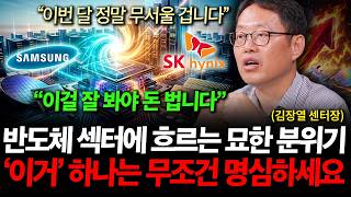 "올해는 반도체 말고는 답 없어요", 지금이라도 반도체 겁없이 담으세요 단 '이거'는 무조건 명심하세요 ( …