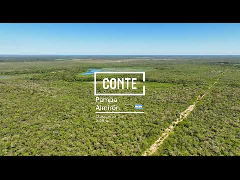 Conte - Pampa Almirón 3126 ha