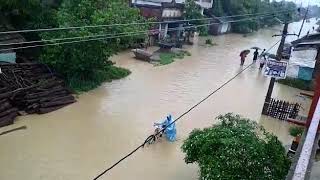 preview picture of video 'Flood in Bela Jaynagar'