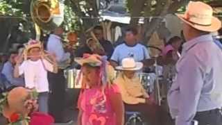 preview picture of video 'Rosario Micaltepec_La Atrevida Banda Tierra Blanca'