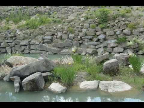 Pasierbiec - Droga krzyżowa