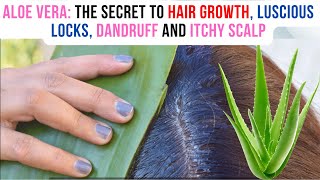 Aloe Vera: The Secret to hair growth, luscious locks, dandruff and itchy scalp