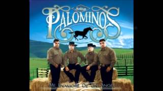 REGRESA AMOR ( LOS PALOMINOS )
