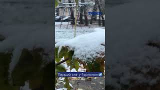 В западных областях Украины выпал снег (видео)