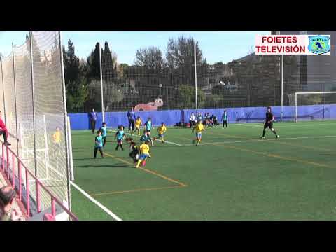 BENJAMIN B FOIETES  -  CALLOSA B