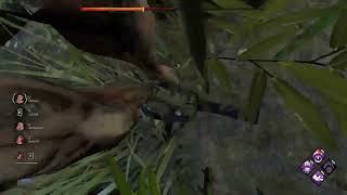 INSANE TRAPPER MINDGAME
