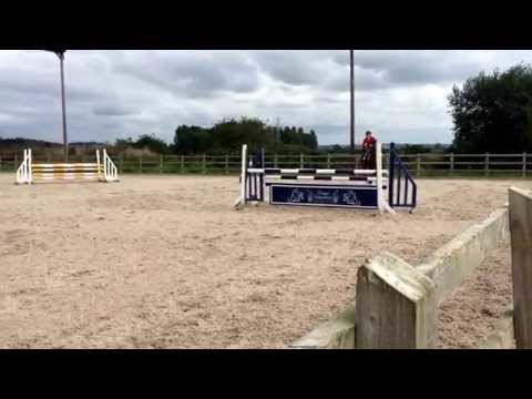 Major - 1.05m Open @ Kings Sedgemoor 5/9/2015
