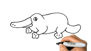 How to Draw a PLATYPUS Easy Step by Step Drawing Animals