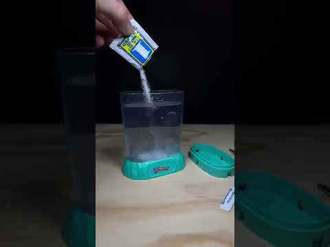 OCEAN ZOO SEA MONKEYS