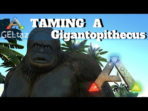 Ark: Taming a Gigantopithecus, Gorilla and Snake eggs