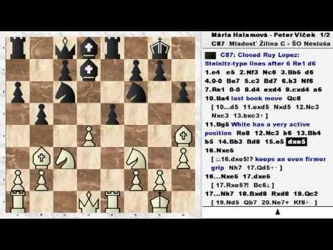 2.8. Mária Halamová - Peter Vlček 1/2 - 1/2