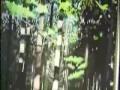 ACEYALONE ~ THE HUNT
