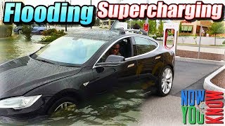 From Flooding to Supercharging! Car Guru's $6,500 Model S