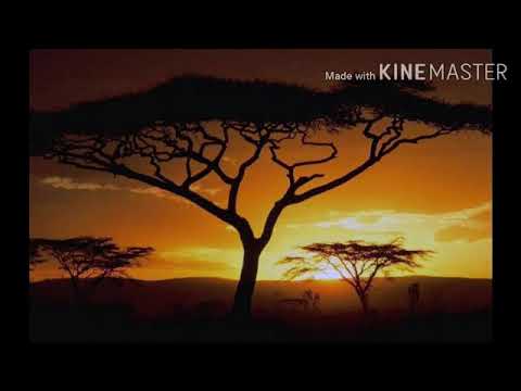 The Isaac King Part 3 - The Morning Report