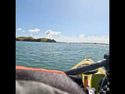 Fun swell #kayaking #beautifulsea #kayaker #newzealand