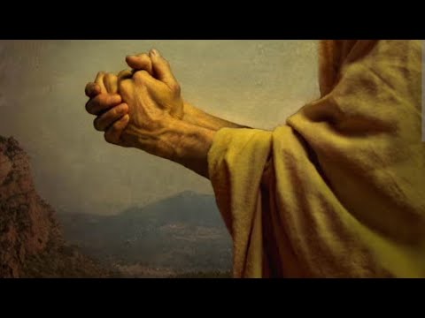 Vida Plena - Silvestre Kuhlmann