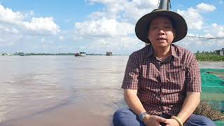 Releasing animals is to release worries, greed, anger, and ignorance in one's soul so that the mi...