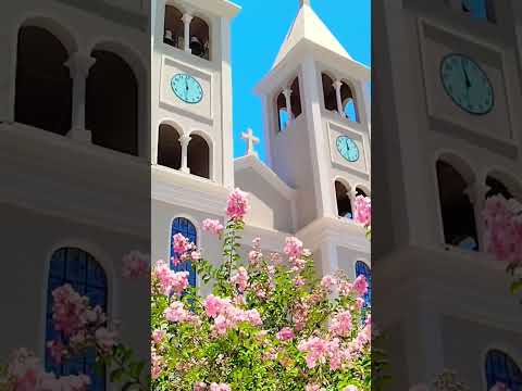 santuário NOSSA SENHORA Aparecida #astorga #santuário #paraná #youtube #shorts #lugares #turismo