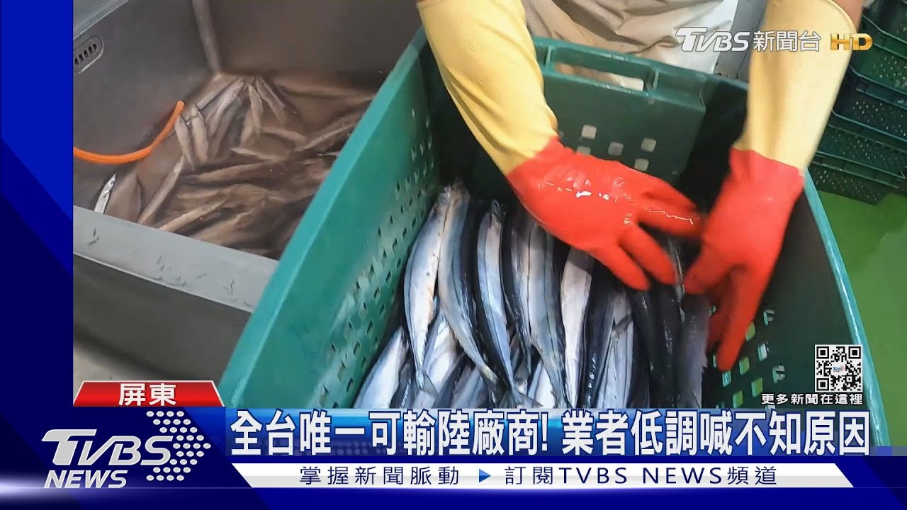 只有他沒被禁!全台唯一獲准輸陸 屏魚鬆業者低調:不知原因