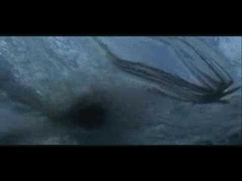 Blue Crush Music Video (Pick A Part That's New)