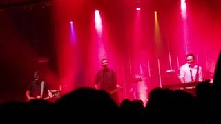 Tokyo Police Club - My House (live)