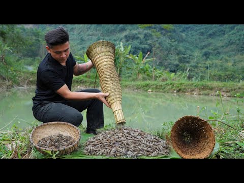 The abandoned pond still had plenty of shrimp; I used 2kg to cook many delicious dishes