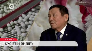 Құс етін өндіру