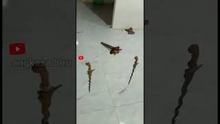 Download lagu Malam 1 Suro!! Keris Bisa Berdiri, Terbang, dan Menyala! #faktamistis #keris  #shortsviral mp3 Download lagu Malam 1 Suro!! Keris Bisa Berdiri, Terbang, dan Menyala! #faktamistis #keris  #shortsviral mp3