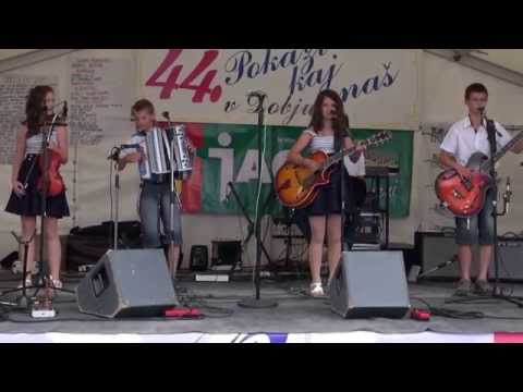 Ansambel Amaterji (Postojna)-Čebelar (v živo)