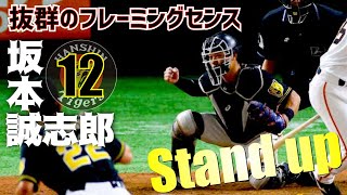【抜群のフレーミングセンス】阪神 坂本誠志郎 キャッチング集【ダルビッシュも認める】