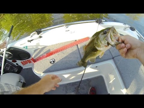 GoPro: Jon Ramey - Best Catch 06.07.15 - Fish