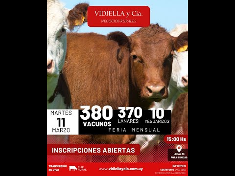 11/03/2025  Feria Mensual - Vidiella y Cia -  Local 33 en la calera - Treinta y Tres