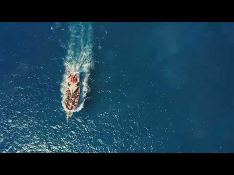 How Did Homo Sapiens Migrate Out of Africa to Conquer the World?