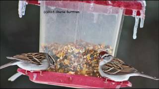 Karan Casey and John Doyle - "Exiles Return"